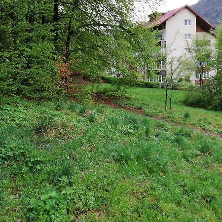 Rustic & Romantic Apartment Braşov Esterno foto