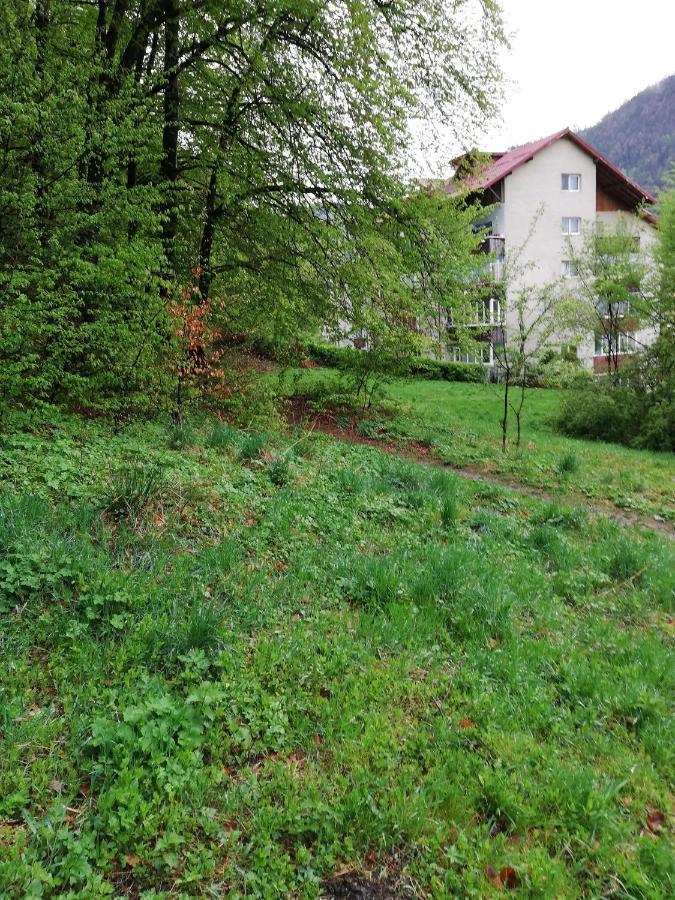 Rustic & Romantic Apartment Braşov Esterno foto