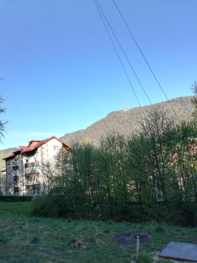 Rustic & Romantic Apartment Braşov Esterno foto