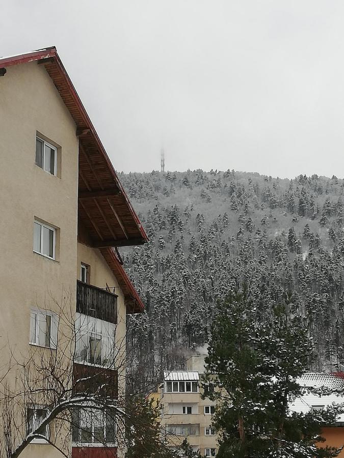 Rustic & Romantic Apartment Braşov Esterno foto