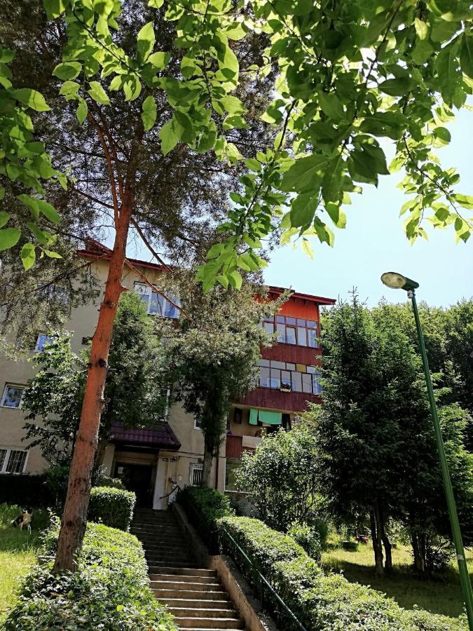Rustic & Romantic Apartment Braşov Esterno foto
